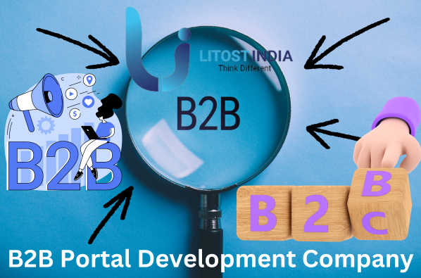 Next-Level B2B Experiences Why Litost India Leads in Portal Development