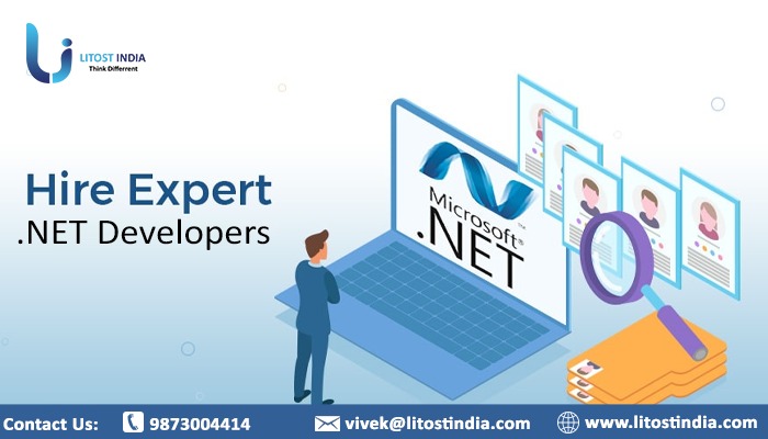 How You Can Hire .NET Developers